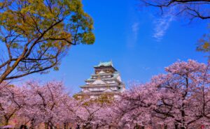 大阪城公園：大阪城と桜