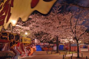 靖国神社の夜桜